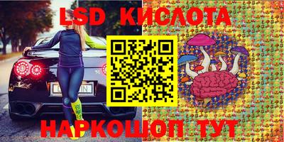 сатива Новокубанск