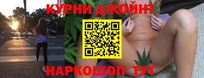 сатива Новокубанск