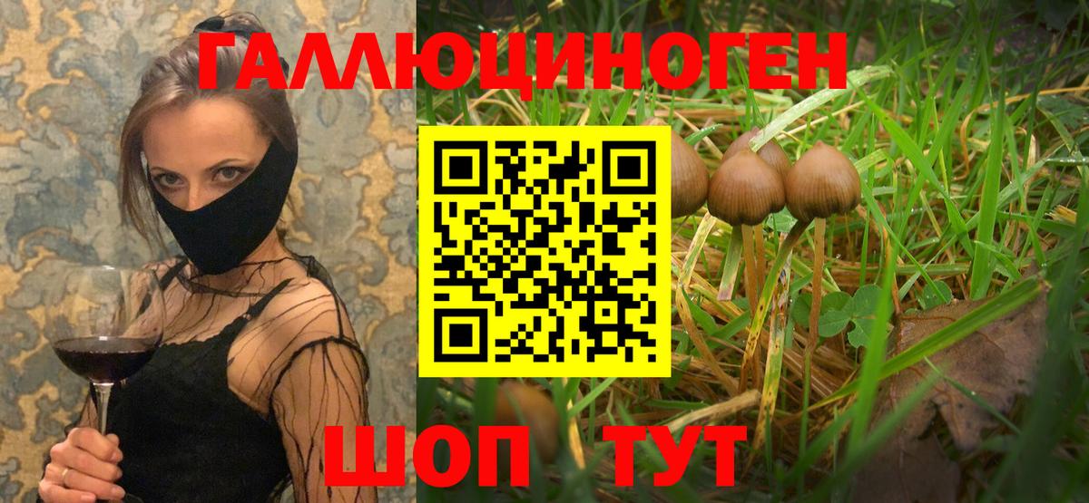 Псилоцибиновые грибы MAGIC MUSHROOMS  Вход с VPN  Унеча  Галлюциногенные грибы MAGIC MUSHROOMS 
