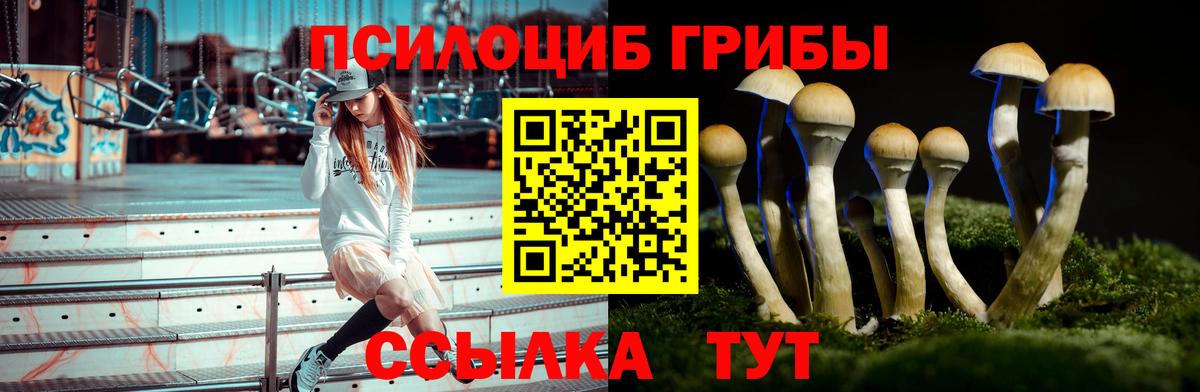 Псилоцибиновые грибы GOLDEN TEACHER Унеча